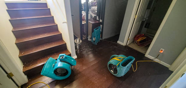 Fire Damage Restoration in FL