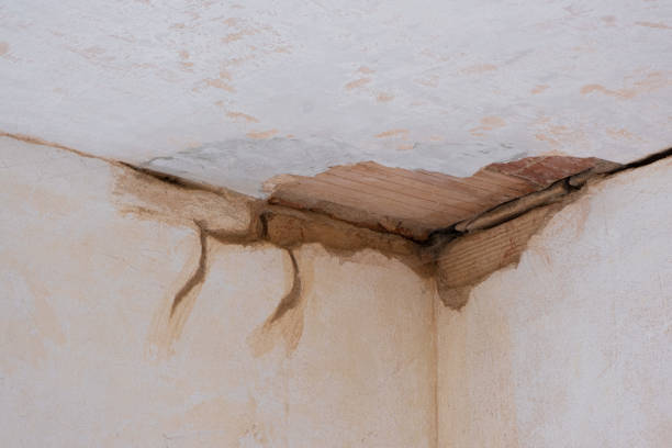 Water damage restoration process in FL