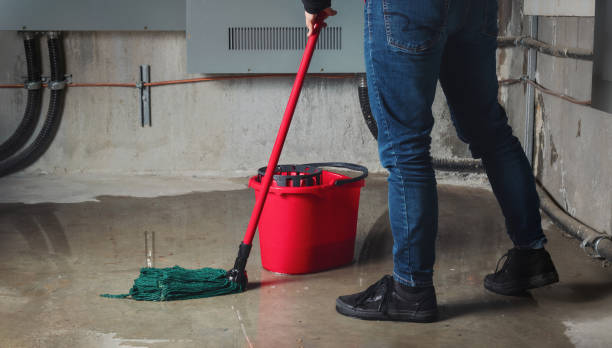  Treasure Island, FL Water damage restoration Pros