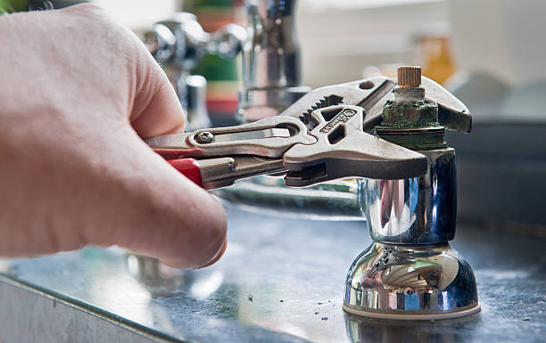 Best Professional water damage repair  in Treasure Island, FL