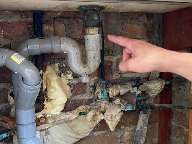 Best 24/7 water damage repair  in Treasure Island, FL